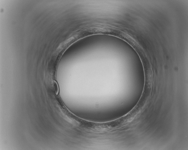 X0000060780489200511241823