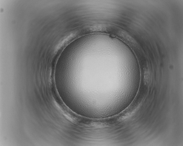 X0000060780490200511241823