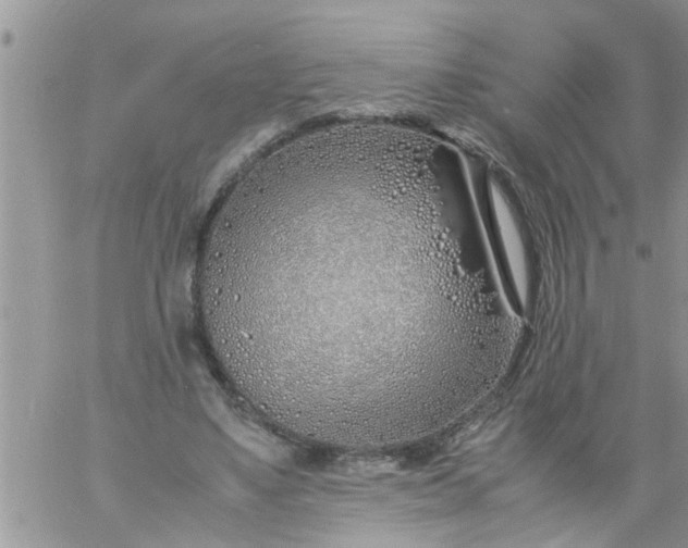 X0000060780491200511241823