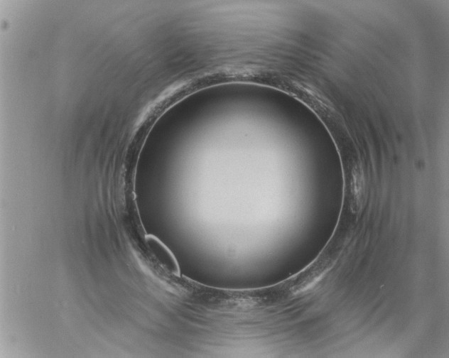 X0000060780492200511241823