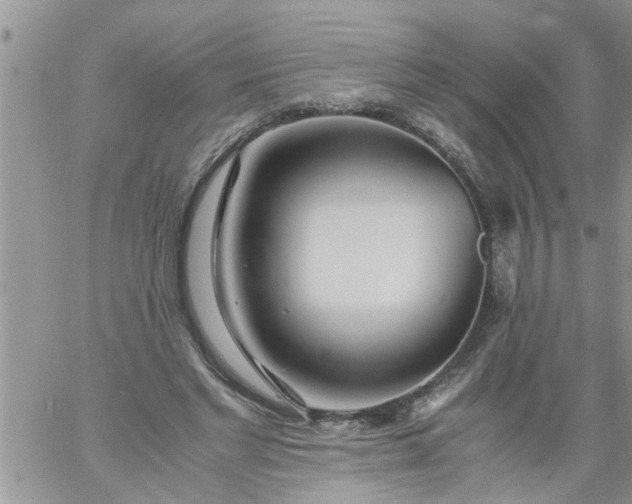 X0000060780493200511241823