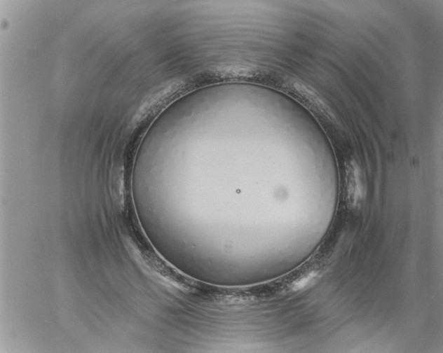 X0000060780494200511241823