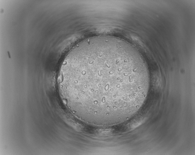 X0000060780495200511241823