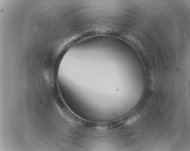 X0000060780496200511241823