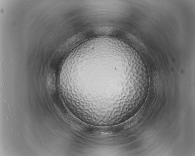 X0000060780498200511241823