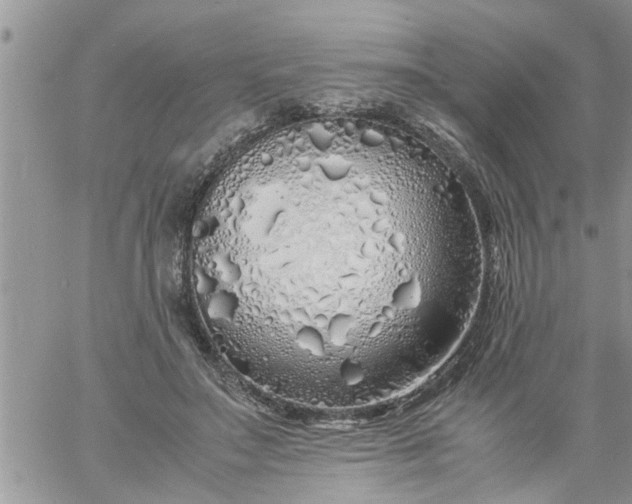 X0000060780499200511241823