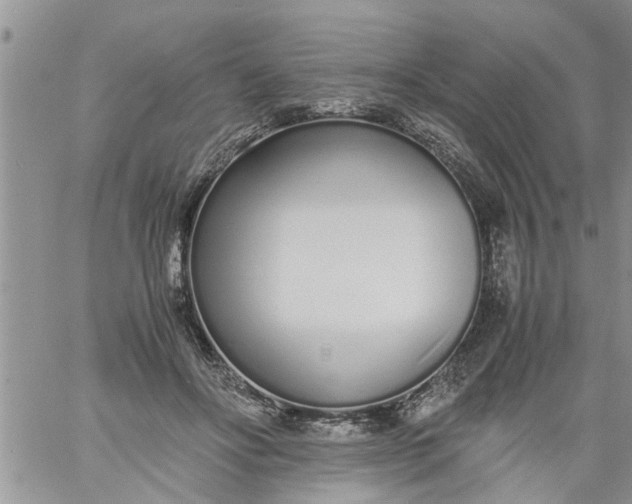 X0000060780502200511241823