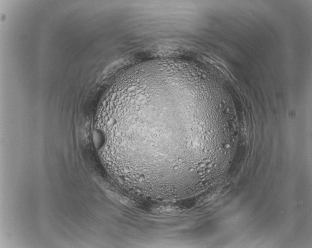 X0000060780503200511241823