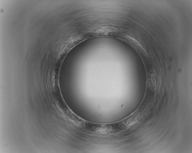 X0000060780504200511241823