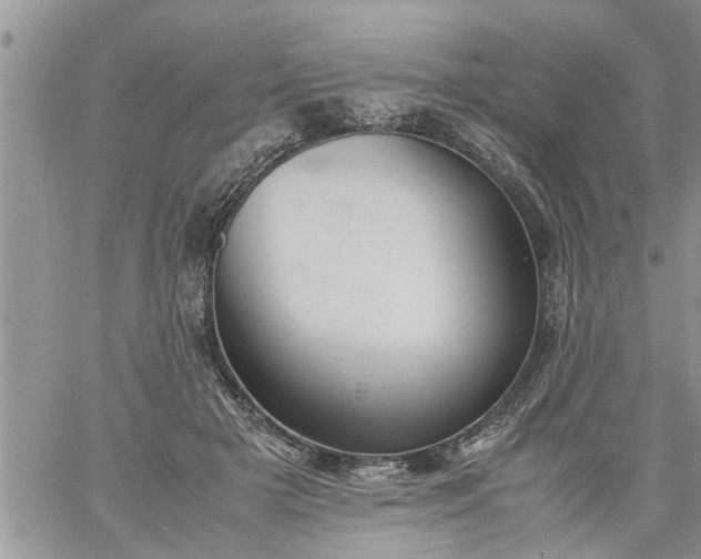 X0000060780505200511241823