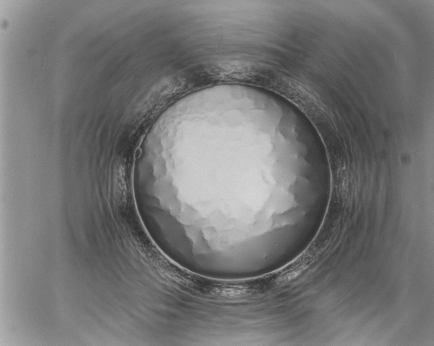 X0000060780506200511241823