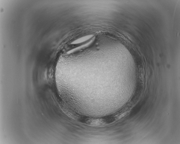 X0000060780507200511241823