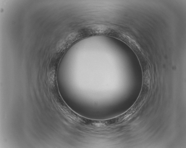 X0000060780509200511241823