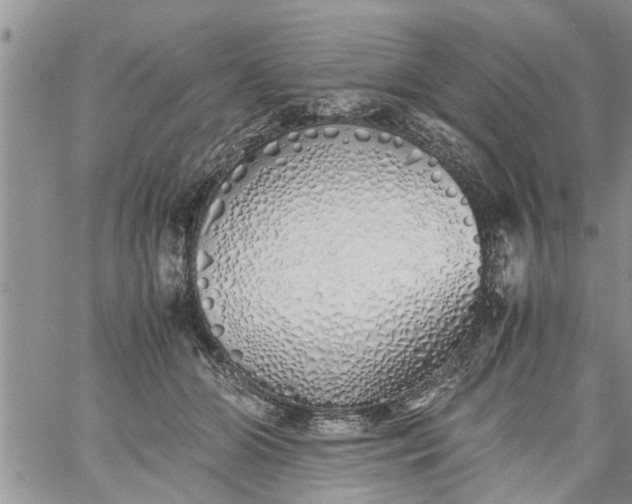 X0000060780510200511241823