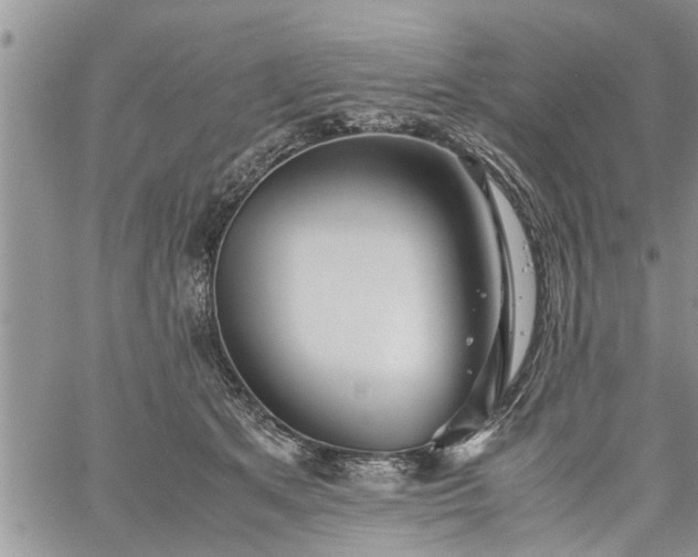 X0000060780513200511241823