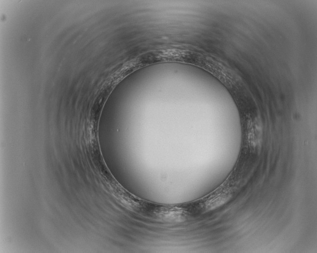 X0000060780514200511241823