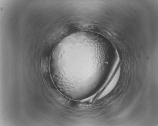 X0000060780515200511241823