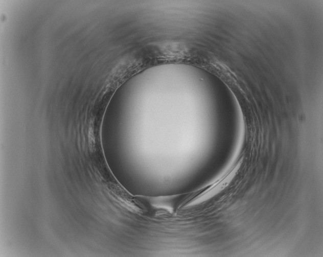 X0000060780516200511241823