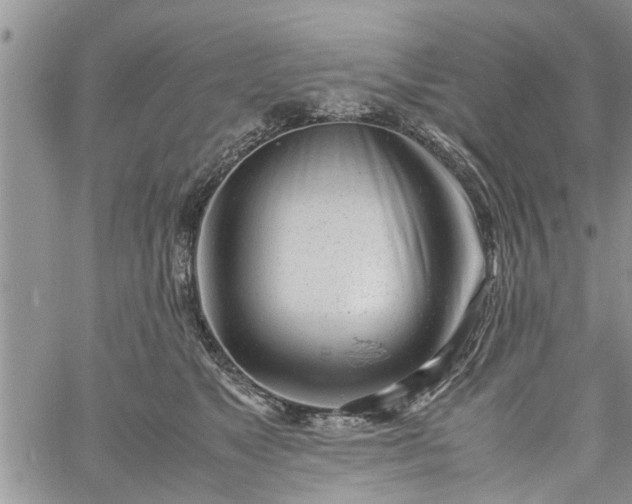 X0000060780517200511241823