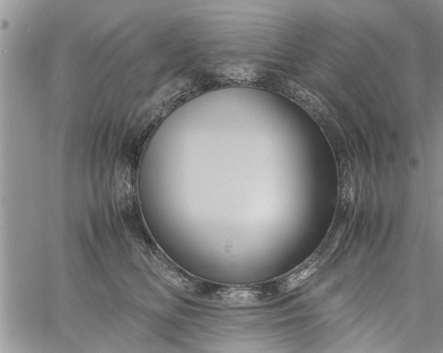 X0000060780518200511241823