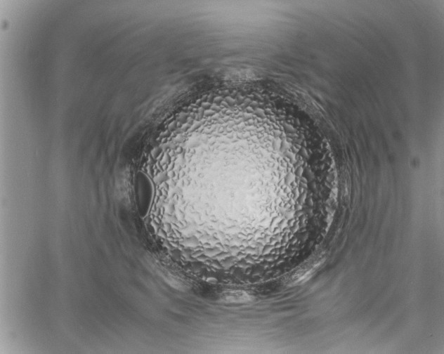 X0000060780519200511241823