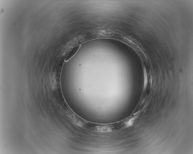 X0000060780520200511241823