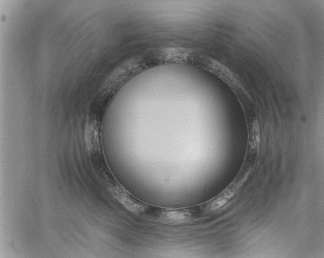 X0000060780522200511241823