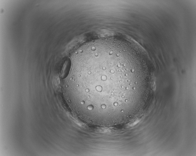 X0000060780523200511241822