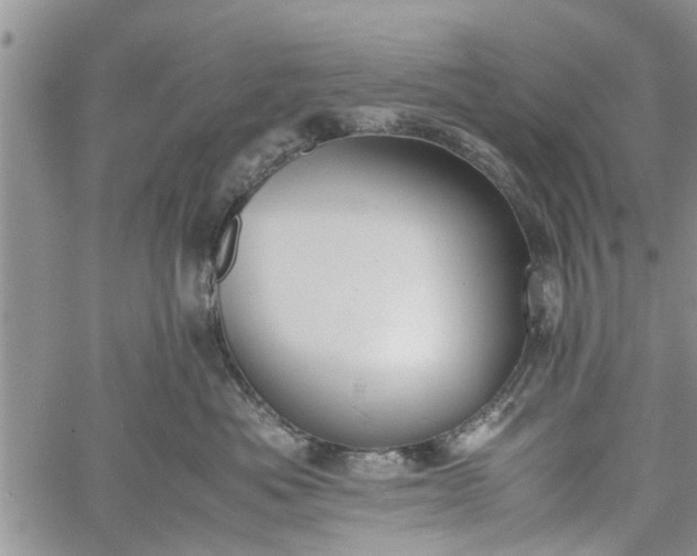 X0000060780525200511241822