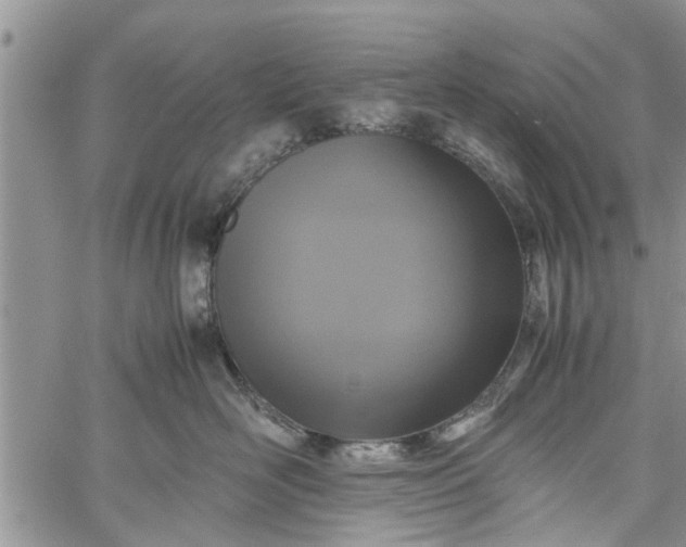 X0000060780526200511241822