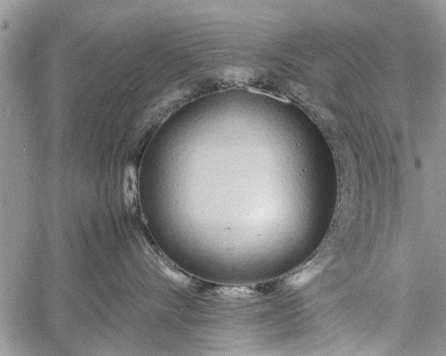 X0000060780528200511241822