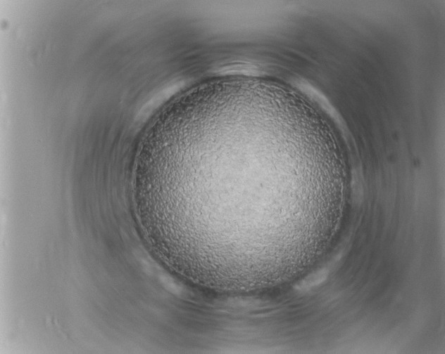 X0000060780529200511241822