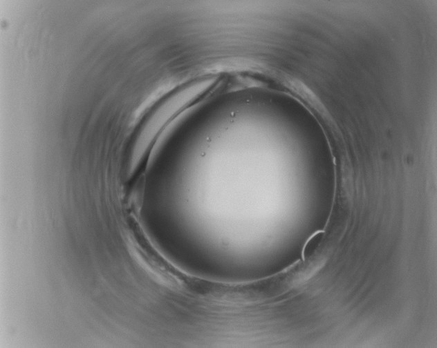 X0000060780530200511241822