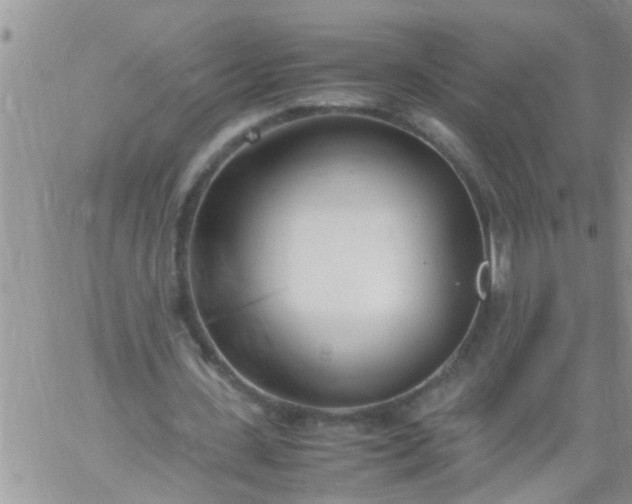 X0000060780531200511241822