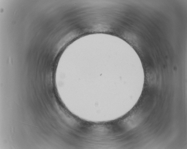 X0000060780534200511241822