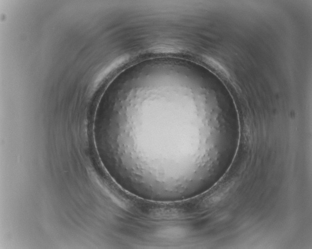 X0000060780535200511241822