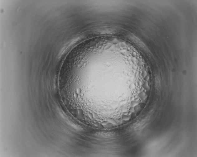 X0000060780537200511241822