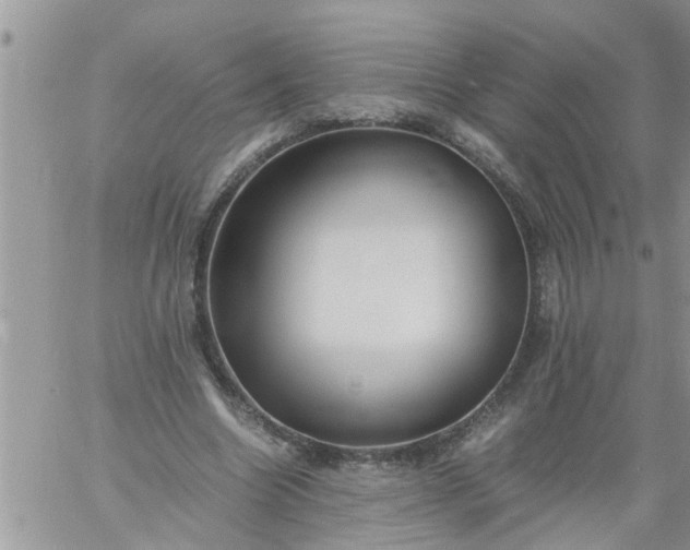 X0000060780538200511241822