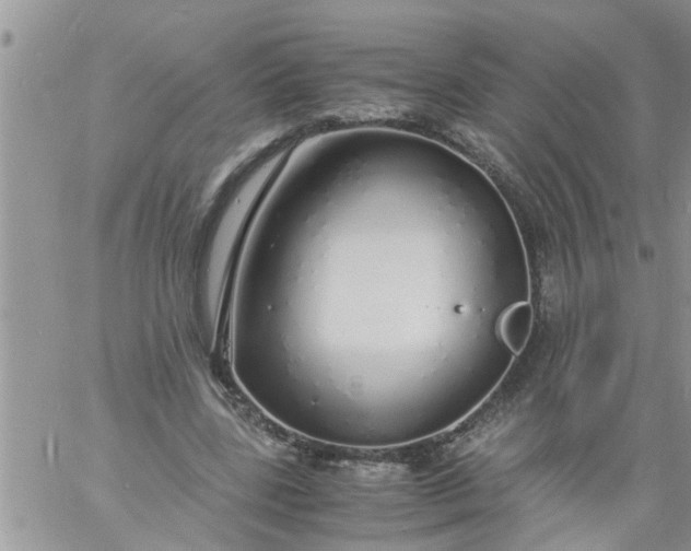 X0000060780539200511241822