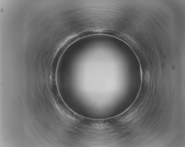 X0000060780540200511241822