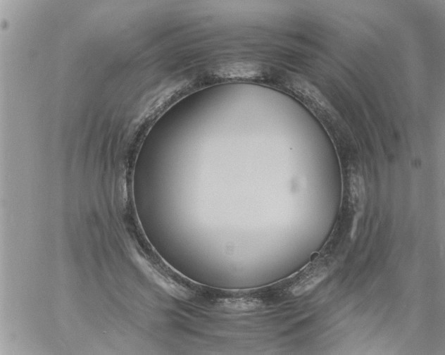 X0000060780541200511241822