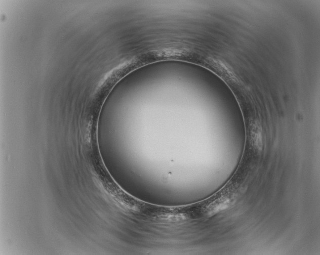 X0000060780543200511241822