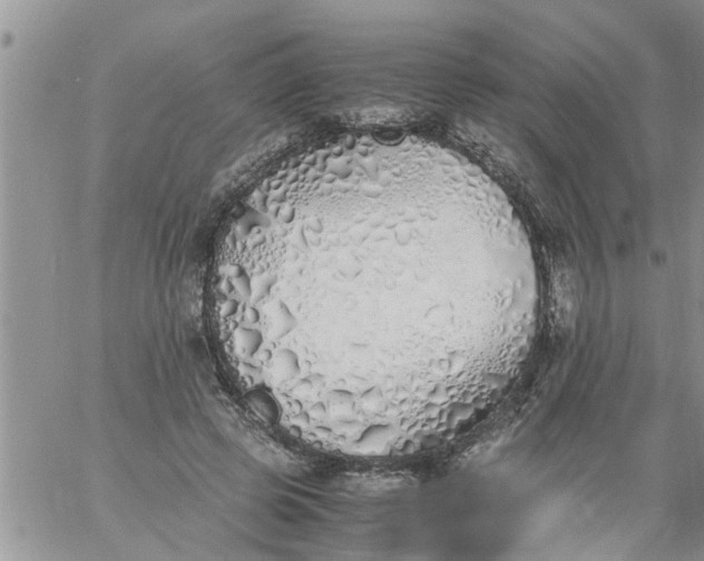 X0000060780545200511241822