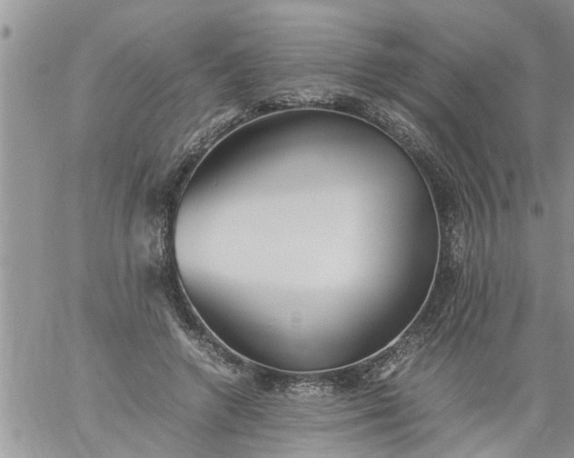 X0000060780546200511241822