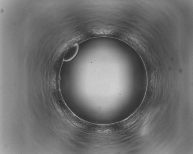 X0000060780547200511241822