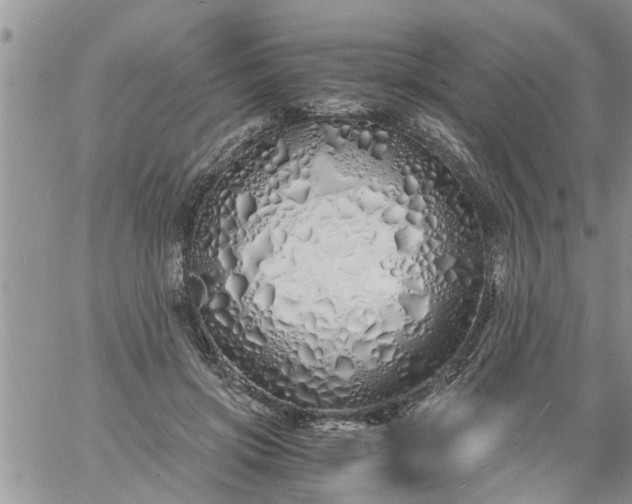 X0000060780549200511241822