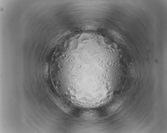 X0000060780550200511241822