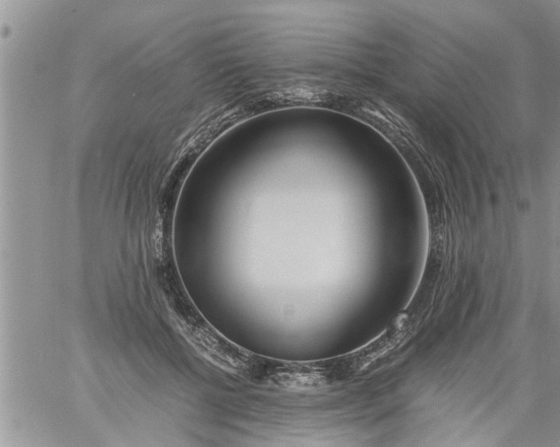 X0000060780552200511241822