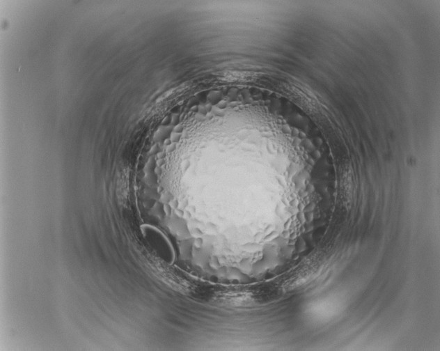 X0000060780554200511241822