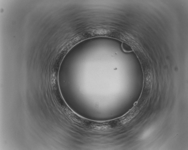 X0000060780555200511241822